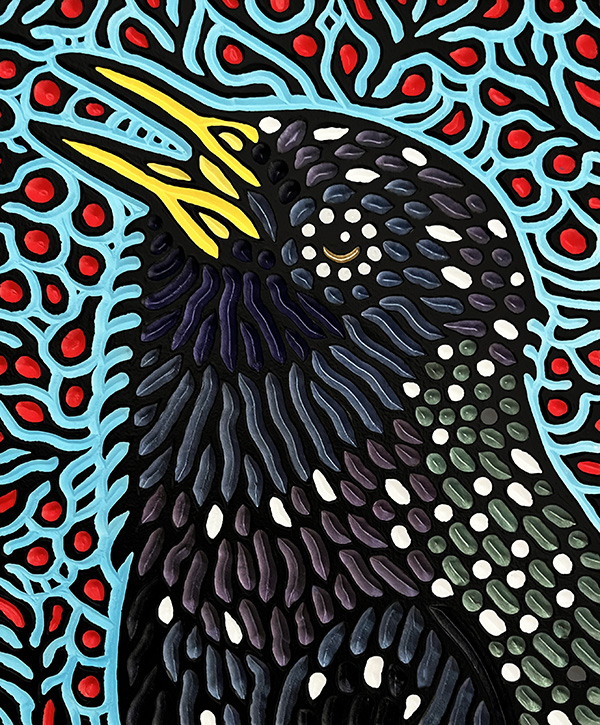 European Starling